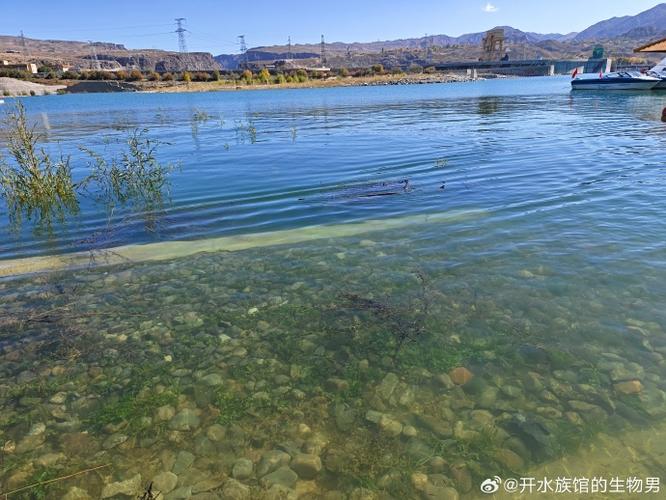 寻美中国##探访青海优质水产品之旅##微博公开课
